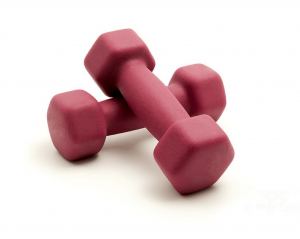 משקולות יד דמבלס נאופרן Neoprene Dumbbell