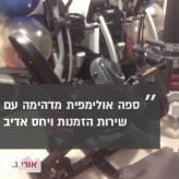 סקירה
